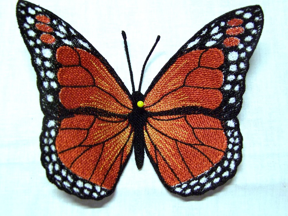 Schmetterling-Monarch - Einzeldateien