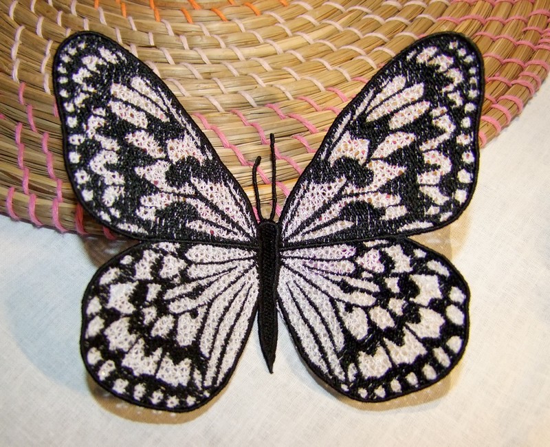 Schmetterling-Schachbrettfalter - Einzeldateien