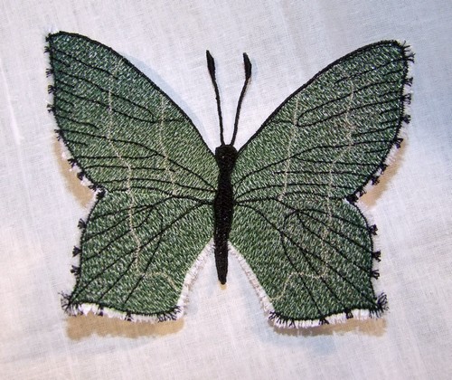 Schmetterling-grüner Zipfelfalter - Einzeldateien