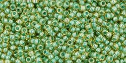 5g TOHO SeedBeads 15/0 TR-15-0380