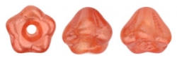 #02.19 50 Stück Glockenblumen 4x6 mm Coated-Orange Sherbet