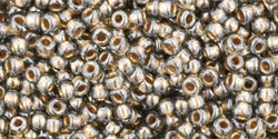 10 g TOHO Seed Beads 11/0 TR-11-0993 - Gold-Lined Black Diamond (E)