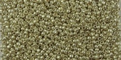 5g TOHO SeedBeads 15/0 TR-15-PF559