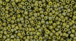 5g TOHO SeedBeads 15/0 TR-15-2631 F