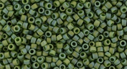 5g TOHO SeedBeads 15/0 TR-15-2633 F