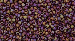 5g TOHO SeedBeads 15/0 TR-15-2639 F