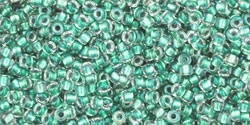 5g TOHO SeedBeads 15/0 TR-15-0264