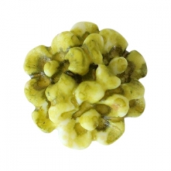 #23b - 5 Stück Resin Flower-Bouquet Beads ca. 10 mm - Aquarell-Painted - olive green