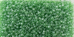 5g TOHO SeedBeads 15/0 TR-15-0108