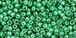 10 g TOHO Seed Beads 11/0 TR-11-PF588 - Permanent Finish - Galvanized Spearmint (A,C,D)