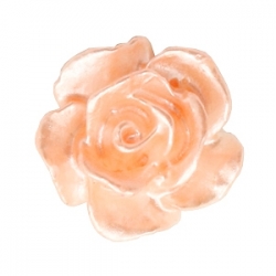 #52 - 5 Stück Resin Rose Beads ca. 10 mm - white - springtime peach pearl shine coated