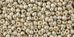 10 g TOHO Seed Beads 11/0 TR-11-PF558 - Permanent Finish - Galvanized Aluminum (A,D,C)