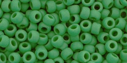 10 g TOHO SeedBeads 8/0 TR-08-0047 DF