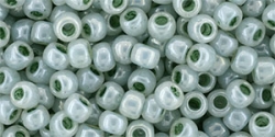 10 g TOHO Seed Beads 6/0  TR-06-0915