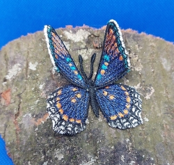 Stickdatei FSL & ITH - Limenitis Arthemis Arizonensis --- ca. 80mm