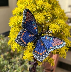 Embroidery File FSL & ITH - Limenitis Arthemis Arizonensis --- approx. 100 mm