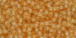 10 g TOHO SeedBeads 8/0 TR-08-1846