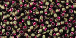 5g TOHO SeedBeads 15/0 TR-15-2204