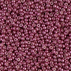 5 g Miyuki Seed Beads 11/0 - DURACOAT - 11-4219