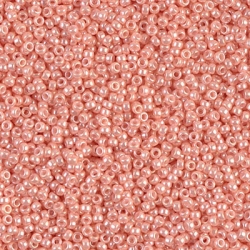 5 Gramm Miyuki Seed Beads 15-0429