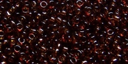 5g TOHO SeedBeads 15/0 TR-15-0941 - Tr. Lt Smoke Topaz