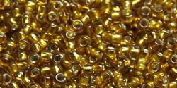 5g TOHO SeedBeads 15/0 TR-15-2156 S