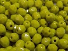 #10 50 Stück - 4,0 mm Glasschliffperlen - opak olivine