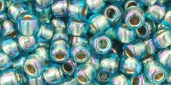 10 g TOHO Seed Beads 6/0  TR-06-0995