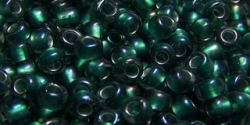 10 g TOHO Seed Beads 6/0  TR-06-0270 F