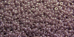 5 Gramm Miyuki Seed Beads 15-0437