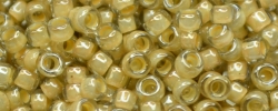 5g TOHO SeedBeads 15/0 TR-15-0369