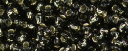 10 g TOHO Seed Beads 11/0 TR-11-0029 C  Black Diamond Dark Silver-Lined (A,D)