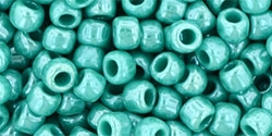 10 g TOHO Seed Beads 6/0  TR-06-0132