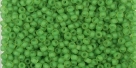 10 g TOHO Seed Beads 11/0 TR-11-0306 F - Inside-Color Matte Jonquil/Lime Lined (E)