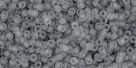 5g TOHO SeedBeads 15/0 TR-15-0009 F - Tr.-Frosted Lt. Gray