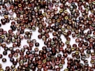 10 Gramm Miyuki Seed Beads 11-45730 magic wine