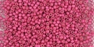 5g TOHO SeedBeads 15/0 TR-15-PF563 F