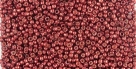 5g TOHO SeedBeads 15/0 TR-15-PF564