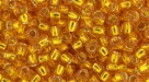 10 g TOHO SeedBeads 8/0 TR-08-0030