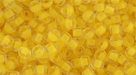 10 g TOHO SeedBeads 8/0 TR-08-0974