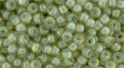 10 g TOHO SeedBeads 8/0 TR-08-1848