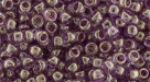 10 g TOHO SeedBeads 8/0 TR-08-0628