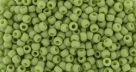 10 g TOHO Seed Beads 11/0 TR-11-2602 F - Semi Glazed - Honeydew (C)