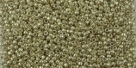 5g TOHO SeedBeads 15/0 TR-15-PF559