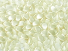 #88.24 - 50 Stck. Pinch-Bead 5x3mm - alabaster pastel lt cream