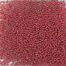 #18-45 10 g Rocailles 18/0 1,0 mm - tr. garnet