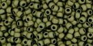 10 g TOHO Seed Beads 11/0 TR-11-0617 - Matte-Color Dark Olive (C)