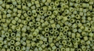 5g TOHO SeedBeads 15/0 TR-15-2632 F