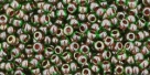 10 g TOHO Seed Beads 11/0 TR-11-0250 - Inside-Color Peridot/Fuchsia-Lined (E)