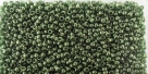 5g TOHO SeedBeads 15/0 TR-15-0333 - Tr. Gold Luster Green